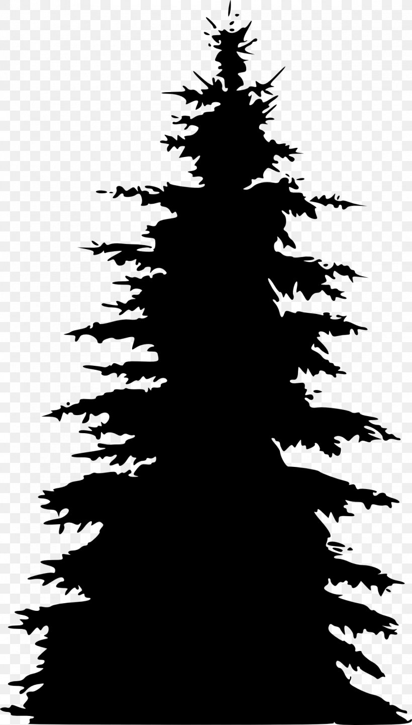 Pine Fir Spruce Tree Silhouette, PNG, 1138x2000px, Pine, Black And White, Branch, Christmas Decoration, Christmas Tree Download Free
