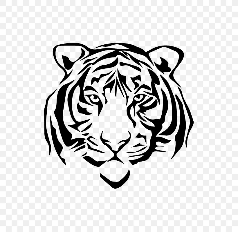 White Tiger Drawing Sketch, PNG, 800x800px, Tiger, Art, Big Cats, Black, Black And White Download Free