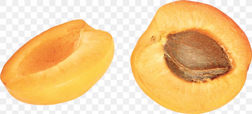 Apricot Peach Auglis Clip Art, PNG, 840x381px, Apricot, Auglis, Digital Image, Dried Apricot, Food Download Free
