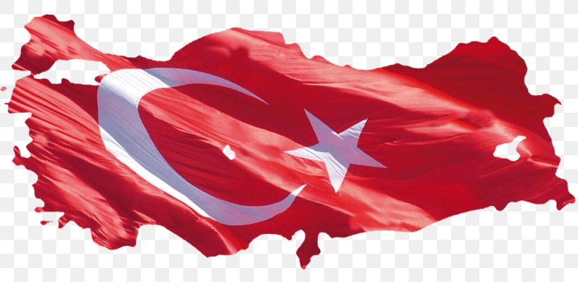Flag Of Turkey Social Security Institution Clip Art, PNG, 1024x500px, Flag Of Turkey, Bit, Flag, Flower, Flowering Plant Download Free