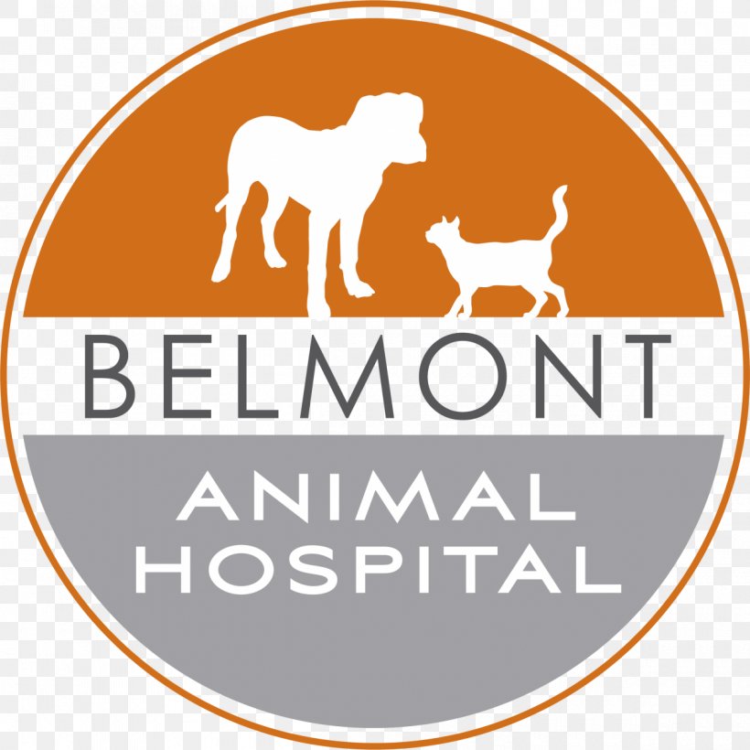 Belmont Animal Hospital Dog LBMC Blood Clinique Vétérinaire, PNG, 1200x1201px, Dog, Area, Belmonthillsboro, Blood, Blood Test Download Free