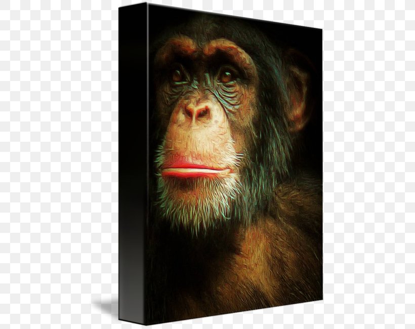 Common Chimpanzee Canvas Print Art Painting, PNG, 469x650px, Common Chimpanzee, Art, Canvas, Canvas Print, Chimpanzee Download Free