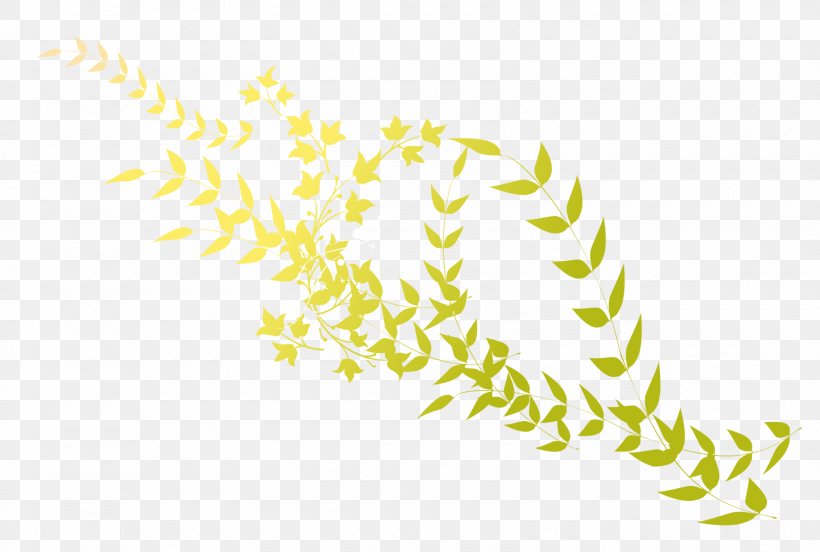 Grasses Plant Stem Leaf Commodity Clip Art, PNG, 1600x1079px, Grasses, Branch, Commodity, Flowering Plant, Grass Download Free