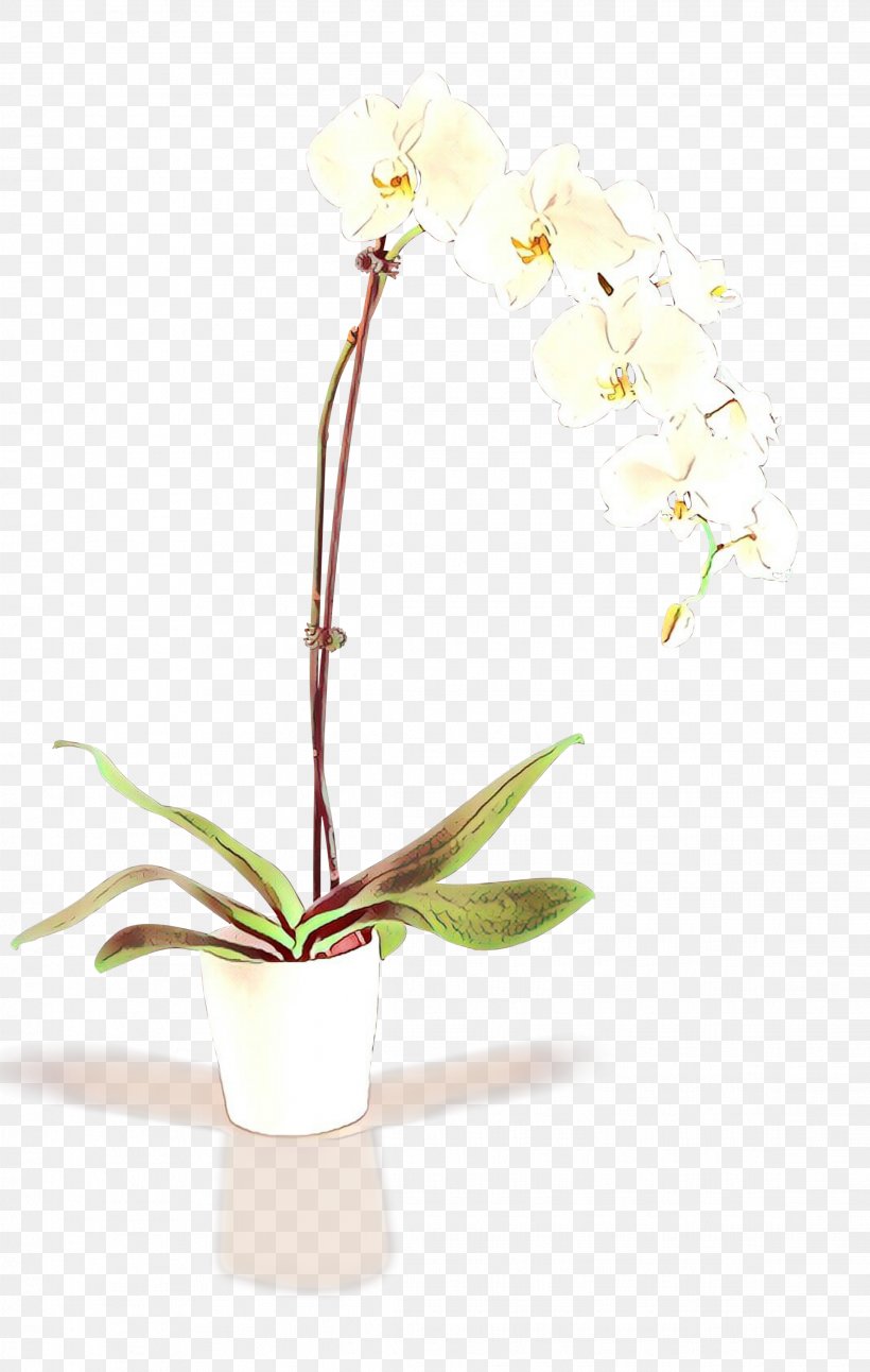 Moth Orchids Artificial Flower Floral Design Cut Flowers, PNG, 2274x3585px, Moth Orchids, Artificial Flower, Botany, Cut Flowers, Floral Design Download Free
