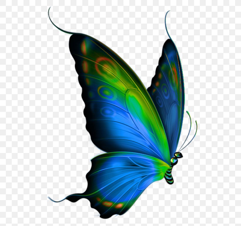 Butterfly Clip Art, PNG, 600x768px, Butterfly, Blue, Bluegreen, Brush Footed Butterfly, Butterflies And Moths Download Free