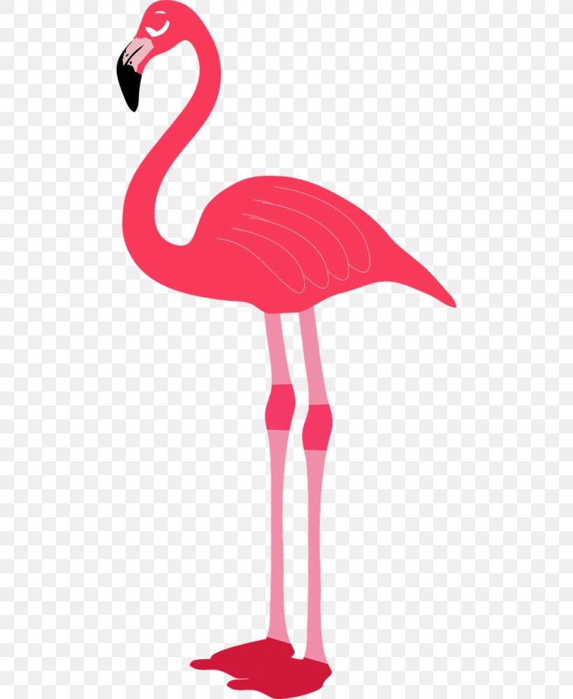 Clip Art Flamingo Image, PNG, 500x1000px, Flamingo, Beak, Bird, Digital Image, Neck Download Free