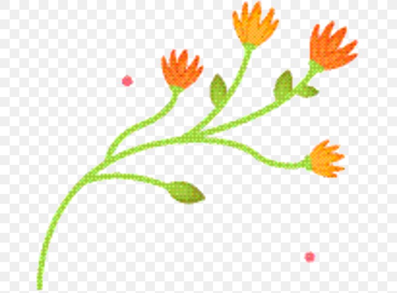 Flower Stem, PNG, 681x604px, Plant Stem, Flower, Leaf, Pedicel, Petal Download Free