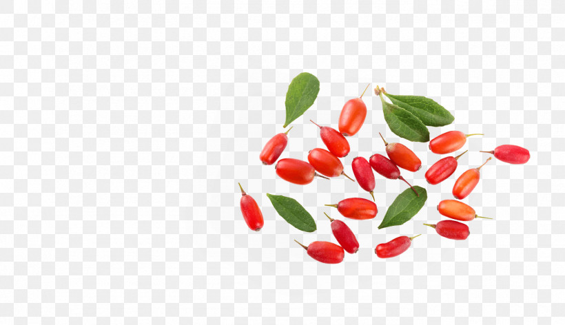 Tabasco Pepper Red Plant Superfruit Food, PNG, 1388x800px, Tabasco Pepper, Arctostaphylos, Berry, Chili Pepper, Flower Download Free