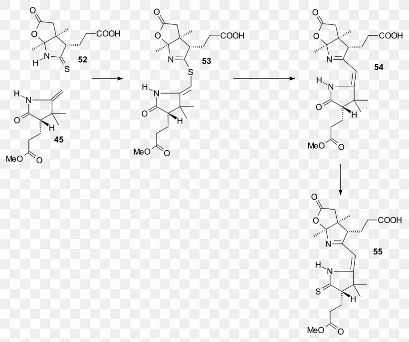 Vitamin B12 Total Synthesis Vitamin B-12 Cyanocobalamin, PNG, 1221x1024px, Vitamin B12 Total Synthesis, Area, B Vitamins, Biosynthesis, Black And White Download Free