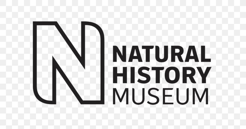 Natural History Museum Dippy Diplodocus, PNG, 768x432px, Natural History Museum, Area, Black, Black And White, Brand Download Free