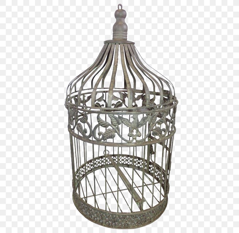 Birdcage Wiki, PNG, 572x800px, Bird, Anger, Birdcage, Box, Cage Download Free