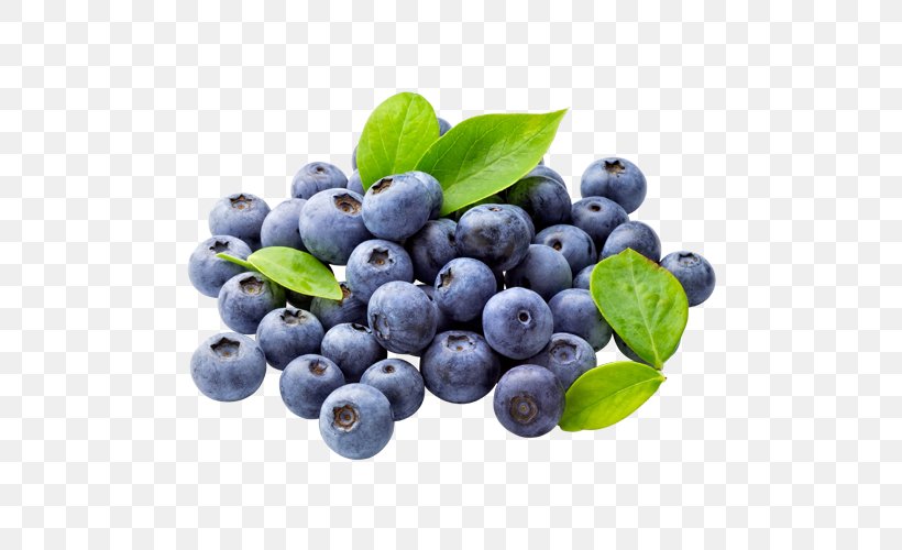 Blueberry Tea Muffin Clip Art, PNG, 500x500px, Blueberry, Antioxidant, Aristotelia Chilensis, Berry, Bilberry Download Free