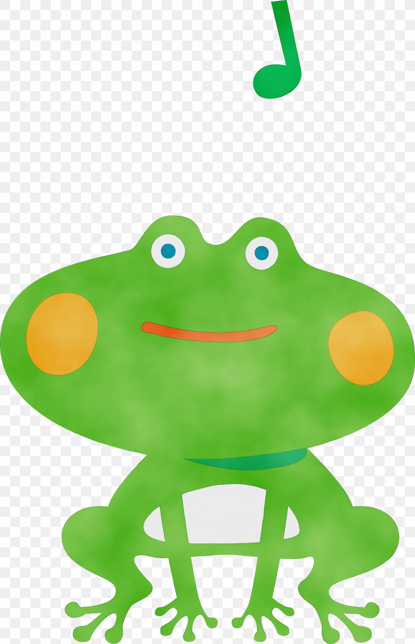 True Frog Frogs Green Tree Frog Science, PNG, 2154x3340px, Frog, Biology, Cartoon, Frogs, Green Download Free