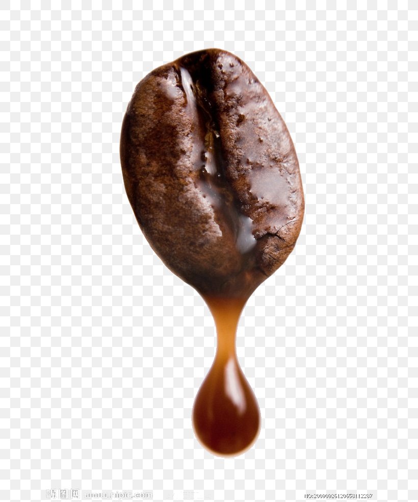 Arabica Coffee Robusta Coffee Coffee Bean Brewed Coffee, PNG, 658x984px, Coffee, Arabica Coffee, Brewed Coffee, Chocolate, Coffea Download Free