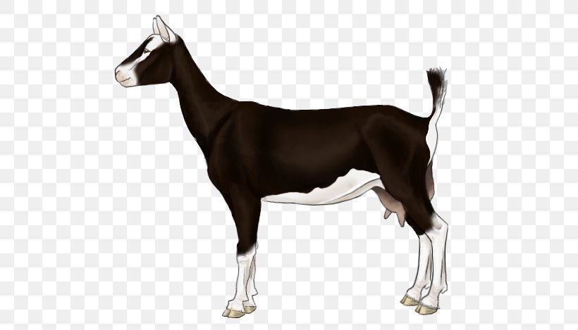 Dog Breed Horse Goat, PNG, 633x469px, Dog Breed, Breed, Carnivoran, Dog, Dog Like Mammal Download Free