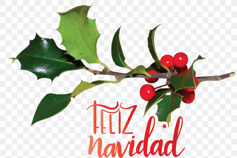 Feliz Navidad Merry Christmas, PNG, 3000x2003px, Feliz Navidad, Aquifoliaceae, Aquifoliales, Branch, Common Holly Download Free