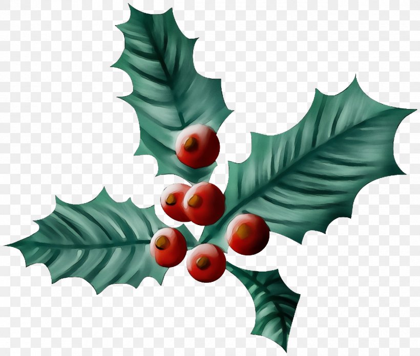 Holly, PNG, 1300x1104px, Christmas Holly, American Holly, Christmas, Flower, Holly Download Free