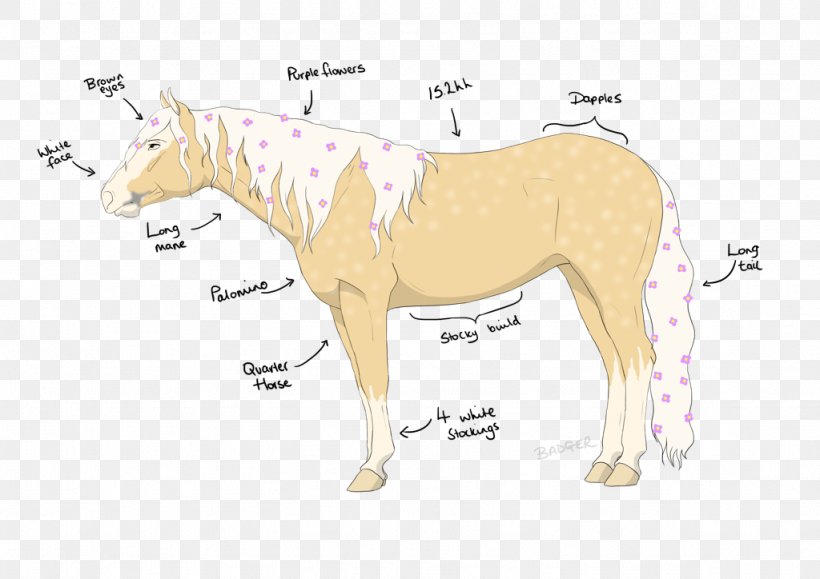 Mule Stallion Halter Mustang Mane, PNG, 1024x724px, Mule, Animal Figure, Bridle, Cartoon, Character Download Free