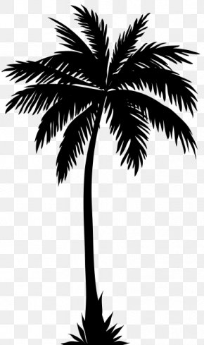 California Palm Clip Art Palm Trees Vector Graphics, PNG, 800x1600px ...