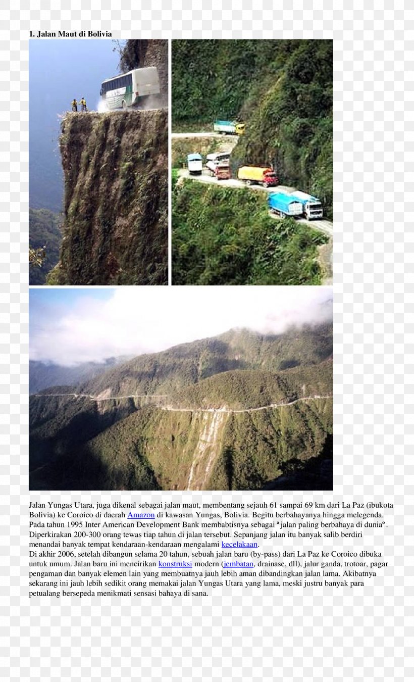 Yungas Road La Paz Coroico, PNG, 1700x2800px, Yungas Road, Bbc, Bolivia, Bridge, Brochure Download Free
