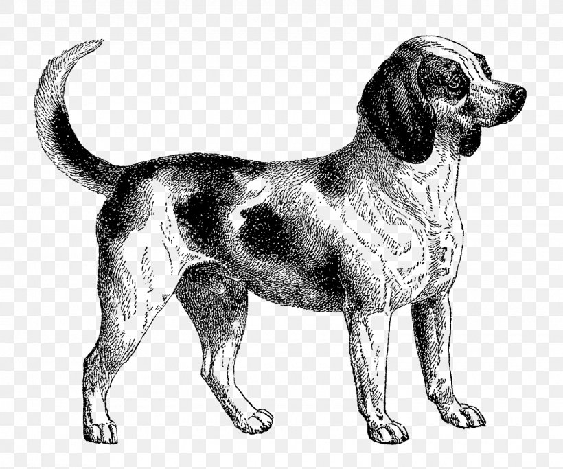 vintage dog clipart