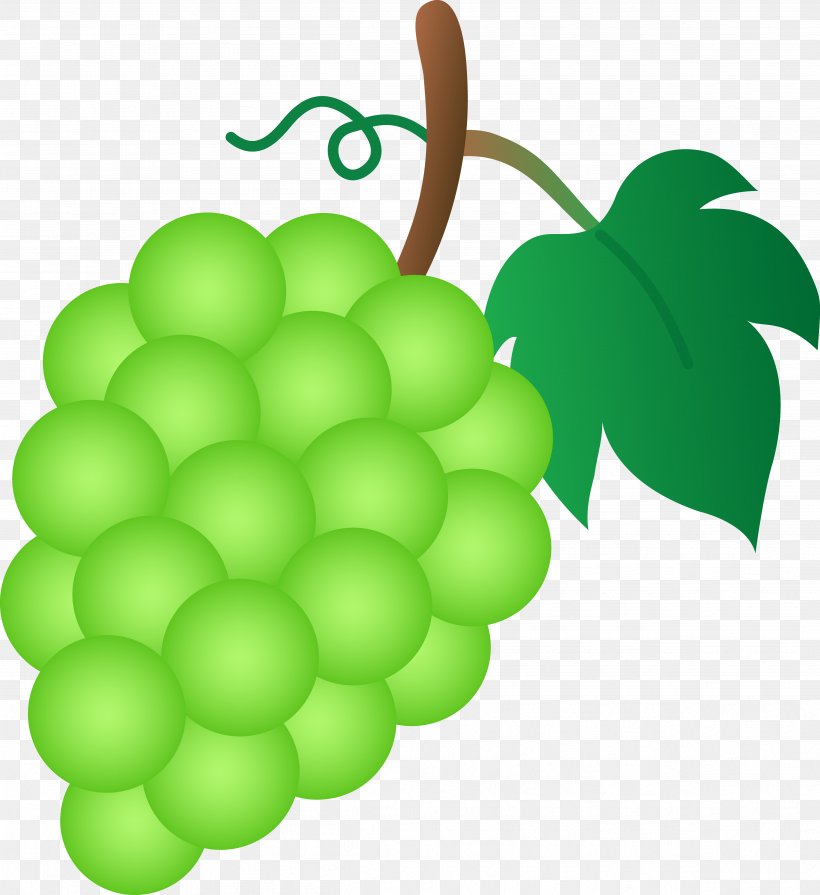 Common Grape Vine Sultana Clip Art, PNG, 4801x5243px, Common Grape Vine, Flowering Plant, Food, Fruit, Grape Download Free