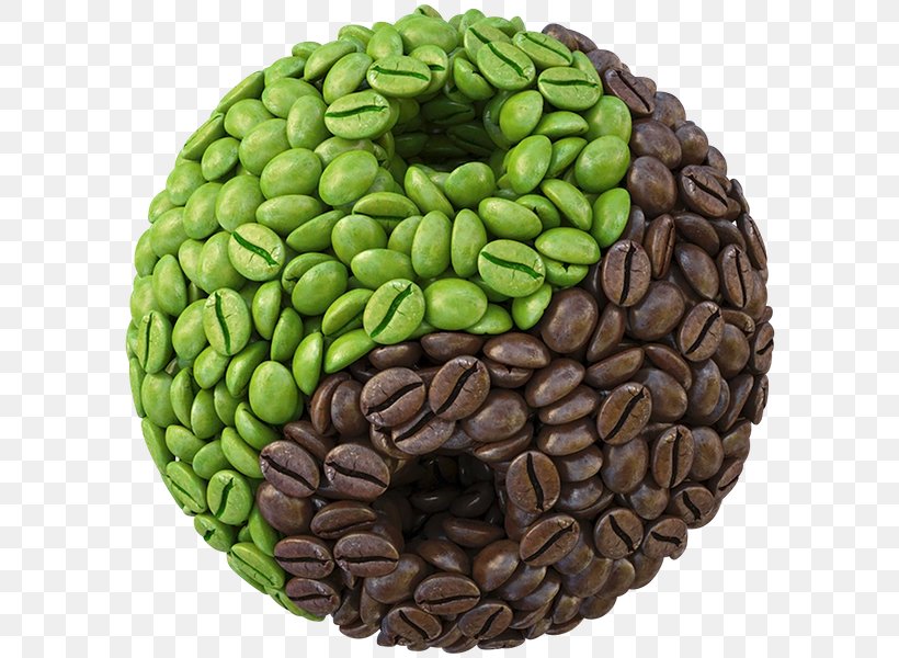 Green Coffee Extract Instant Coffee Coffee Bean, PNG, 600x600px, Coffee, Bean, Caffeine, Coffee Bean, Commodity Download Free