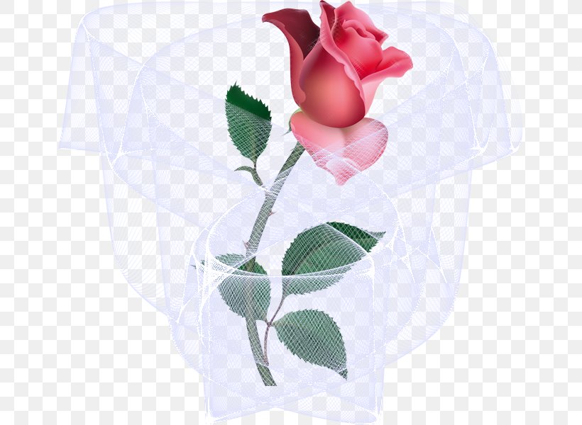 Clip Art Rose Openclipart Pink Flower, PNG, 800x600px, Rose, Blog, Cut Flowers, Floral Design, Flower Download Free