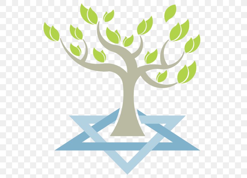 Counting Of The Omer Reconstructionist Rabbinical College United Synagogue Of Conservative Judaism, PNG, 552x592px, Counting Of The Omer, Area, Artwork, Branch, Chol Hamoed Download Free