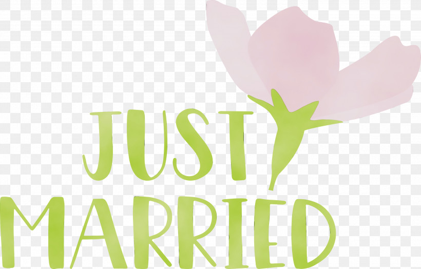 Flower Logo Font Petal Meter, PNG, 3000x1919px, Just Married, Biology, Flower, Logo, Meter Download Free