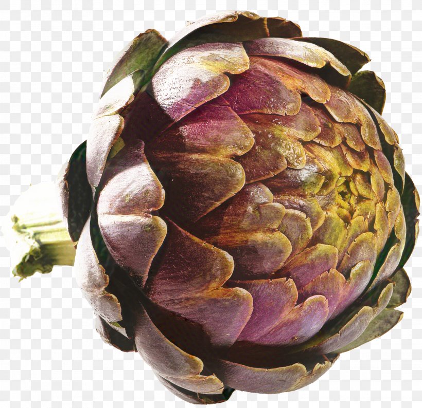 Flower Tree, PNG, 2274x2202px, Artichoke, Carciofi Alla Giudia, Cynara, Flower, Food Download Free