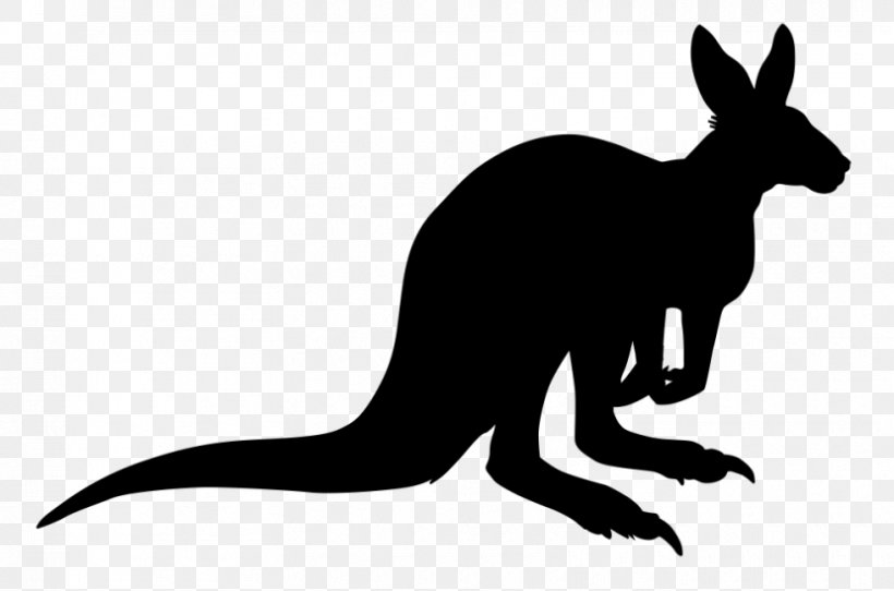 Kangaroo Red Fox Clip Art Hare Fauna, PNG, 830x549px, Kangaroo, Black, Blackandwhite, Fauna, Hare Download Free