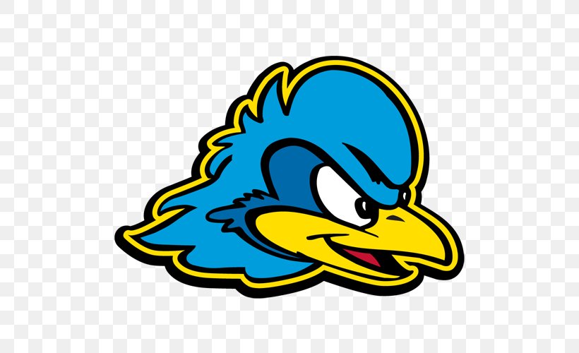 University Of Delaware Delaware Fightin' Blue Hens Men's Basketball Delaware Fightin' Blue Hens Football Delaware Fightin' Blue Hens Women's Basketball Delaware Fightin' Blue Hens Field Hockey, PNG, 500x500px, University Of Delaware, Area, Artwork, Beak, Bird Download Free