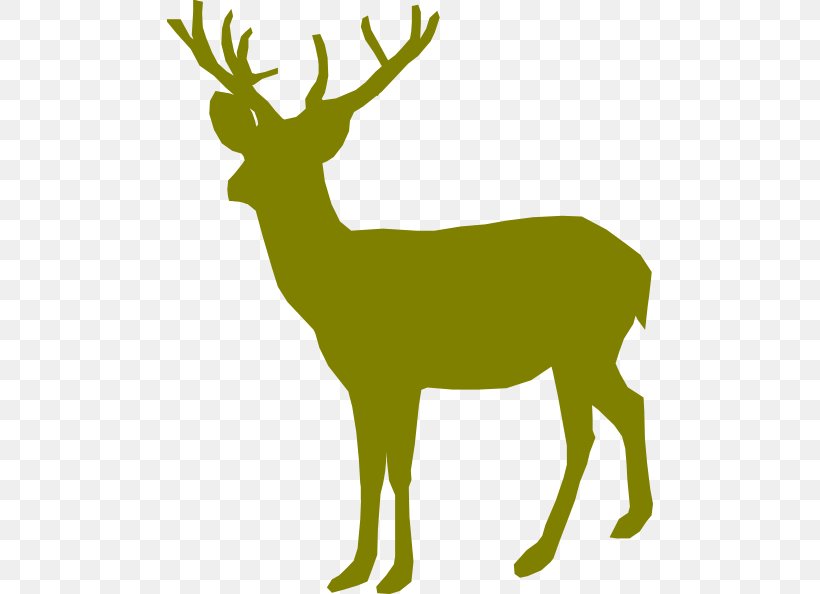 White-tailed Deer Reindeer Clip Art, PNG, 486x594px, Deer, Antler, Deer Hunting, Elk, Fallow Deer Download Free