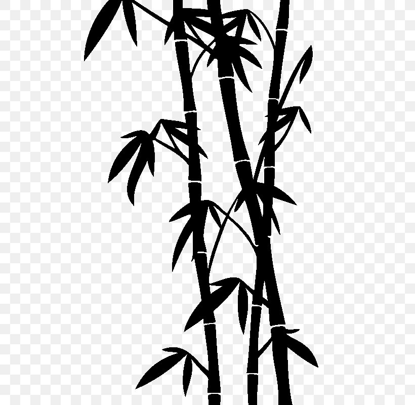 Tropical Woody Bamboos Drawing Stock Photography, PNG, 800x800px, Tropical Woody Bamboos, Black And White, Branch, Drawing, Flora Download Free