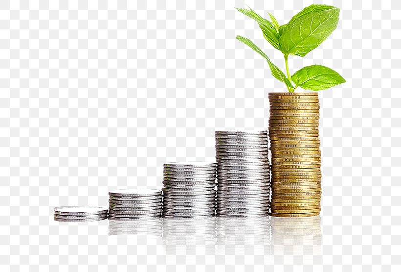 Investment Investor Term Stock Short, PNG, 600x555px, Investment, Finance, Flowerpot, Funding, Investor Download Free