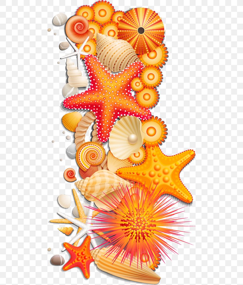 Seashell Orange Starfish Photography, PNG, 501x964px, Seashell, Color, Conch, Invertebrate, Orange Download Free