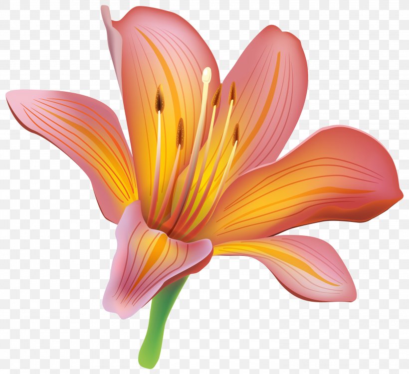 Tiger Lily Easter Lily Lilium Bulbiferum Flower Clip Art, PNG, 3000x2744px, Tiger Lily, Arumlily, Close Up, Cut Flowers, Daylily Download Free
