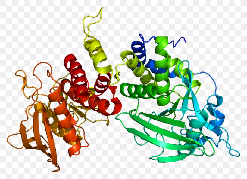 Tubulin PTPRS Protein Tyrosine Phosphatase PTPRD, PNG, 919x668px, Tubulin, Art, Artwork, Flowering Plant, Food Download Free
