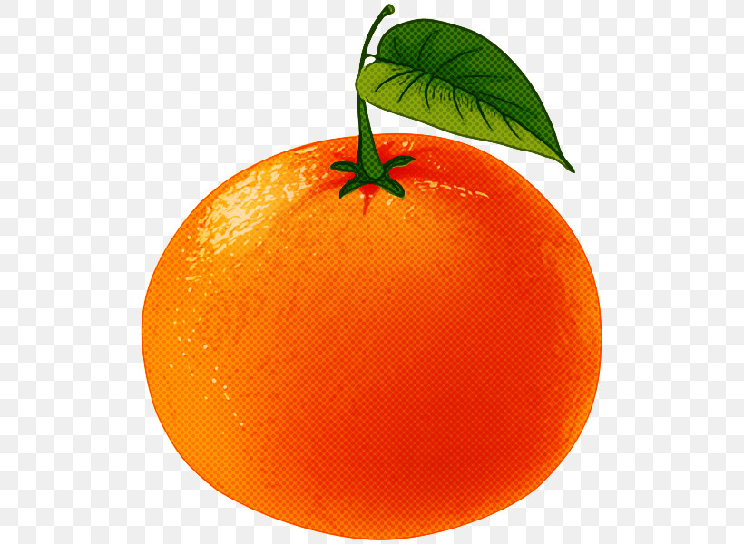 Orange, PNG, 515x600px, Orange, Citrus, Clementine, Food, Fruit Download Free