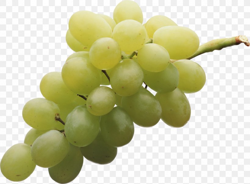 Sultana Muscat Table Grape Niagara, PNG, 1392x1024px, Sultana, Amazon Grape, Autumn Royal, Common Grape Vine, Flame Seedless Download Free