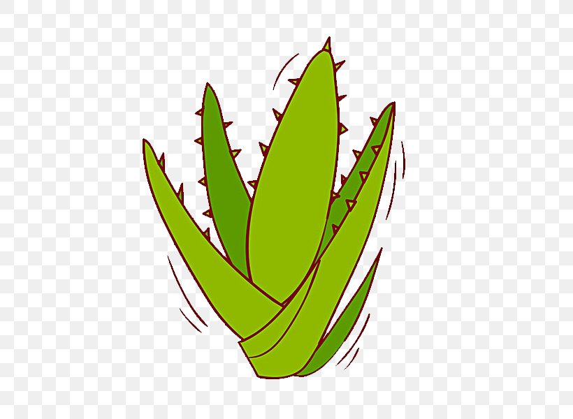 Aloe Vera Leaf Aloe Africana Illustration, PNG, 600x600px, Aloe Vera, Agave, Aloe, Aloe Africana, De Aloxeb Download Free