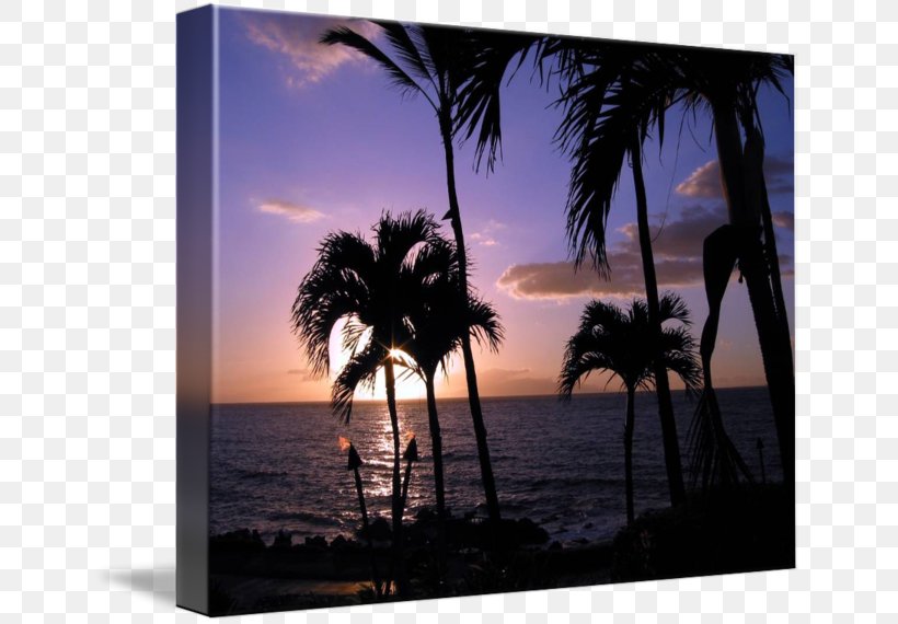 Arecaceae Stock Photography Silhouette Picture Frames, PNG, 650x570px, Arecaceae, Arecales, Palm Tree, Photography, Picture Frame Download Free