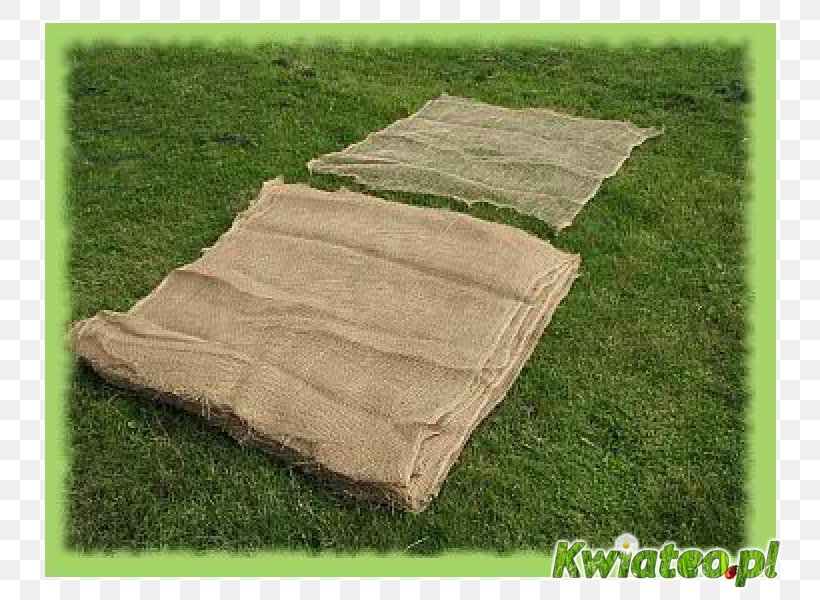 Jute Tree Woven Fabric Tarpaulin Material, PNG, 800x600px, Jute, Arborvitae, Christmas Tree, Grass, Lawn Download Free