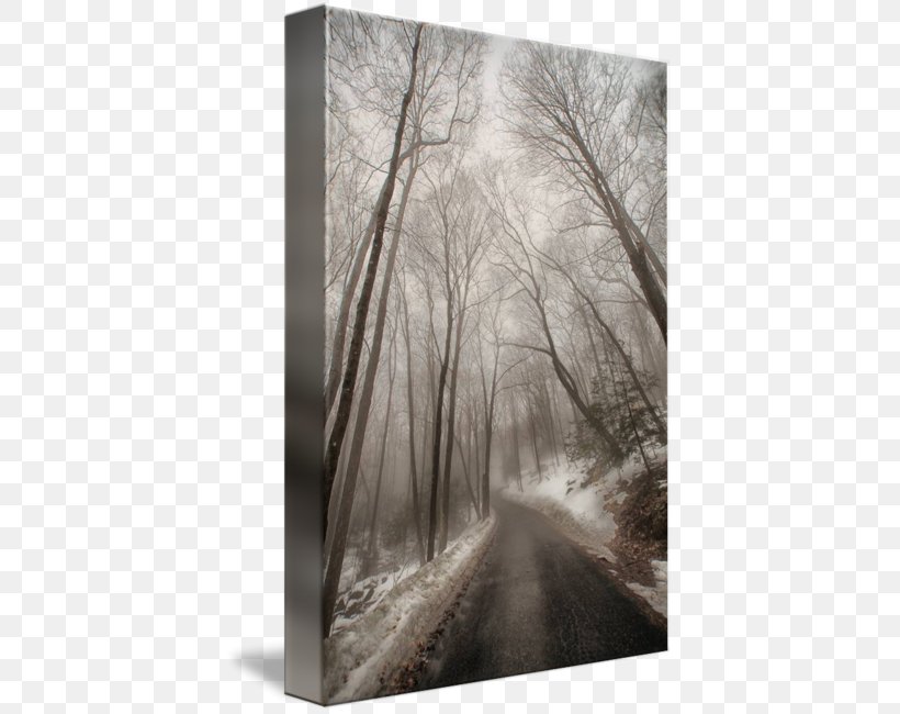 Gallery Wrap Canvas The Road To Winter Wood, PNG, 408x650px, Gallery Wrap, Art, Black And White, Branch, Canvas Download Free
