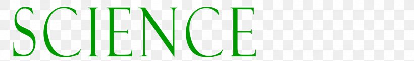 Logo Line Font Green Brand, PNG, 2016x300px, Logo, Brand, Computer, Grass, Green Download Free