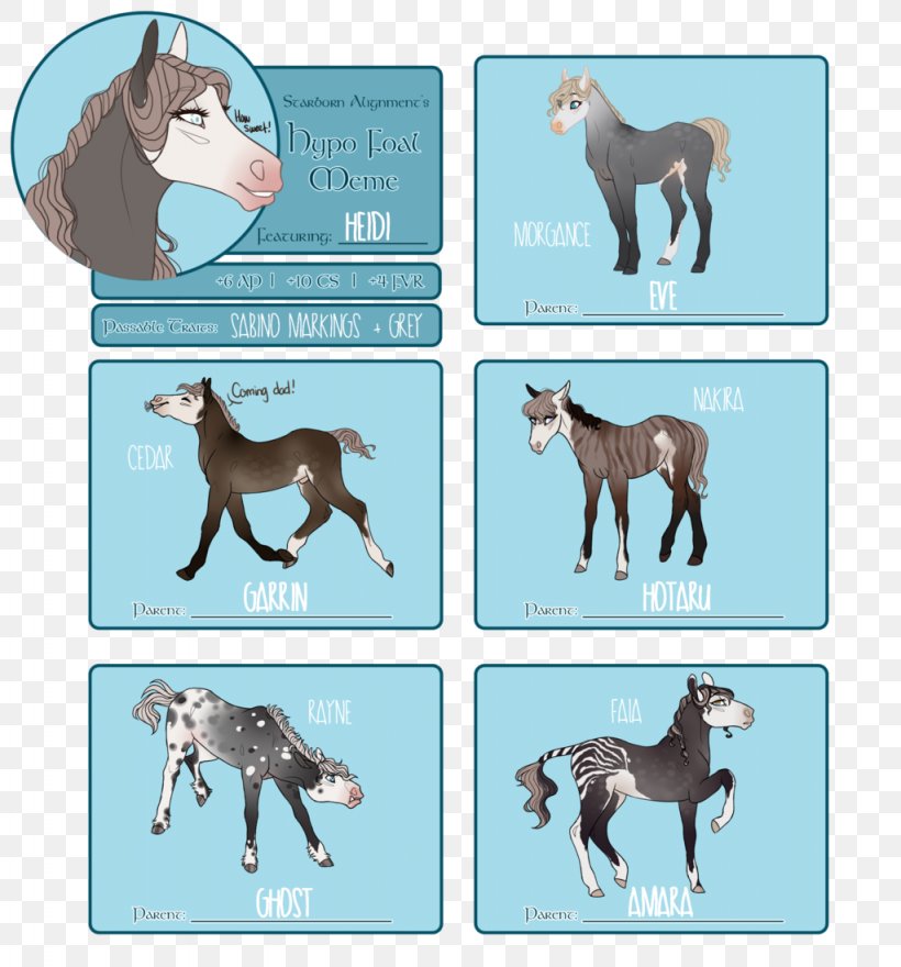 Mule Mustang Foal Stallion Mane, PNG, 1024x1100px, Mule, Animal, Animal Figure, Canidae, Cartoon Download Free