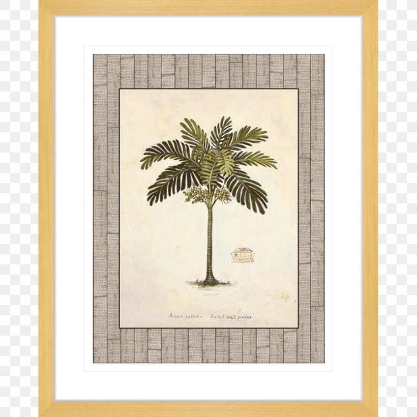 Art Tree Poster Nut, PNG, 1000x1000px, Art, Arecaceae, Art Deco, Coast, Flora Download Free