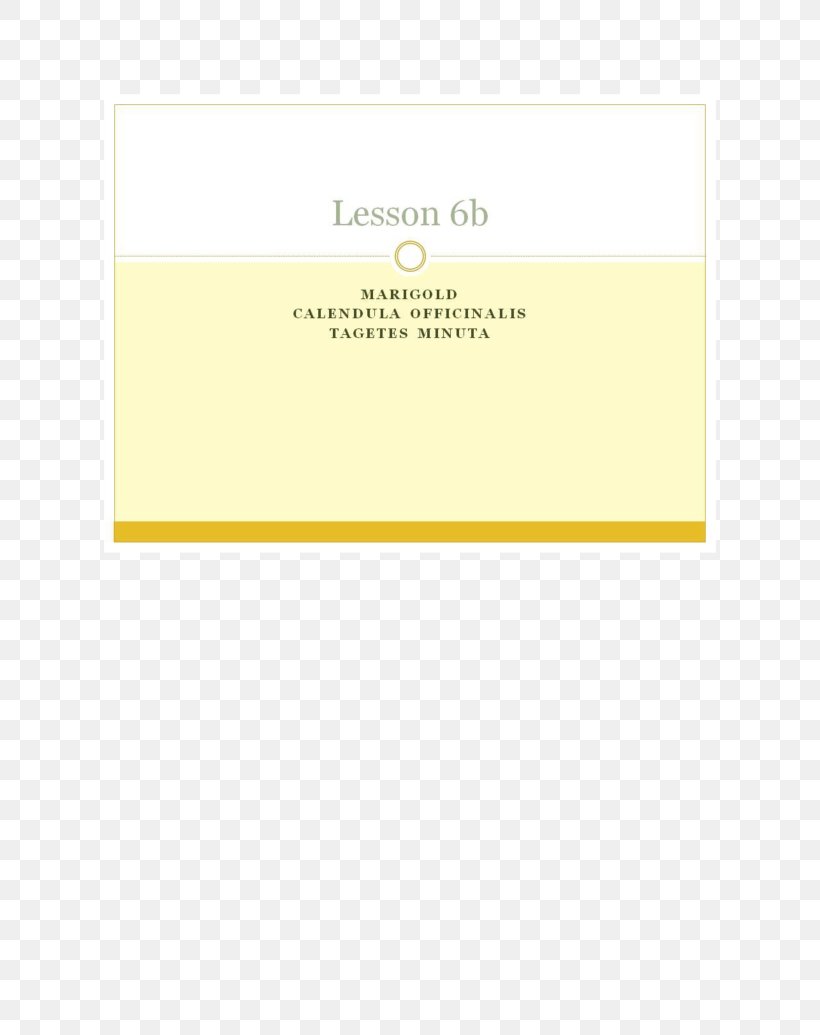 Brand Line Font, PNG, 800x1035px, Brand, Rectangle, Text, Yellow Download Free