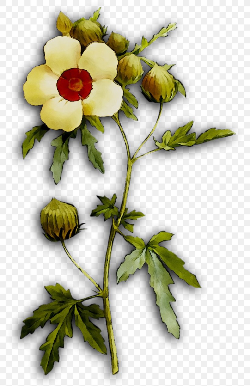 Rose Family Floral Design Plant Stem, PNG, 775x1262px, Rose Family, Artificial Flower, Austrian Briar, Botany, Branch Download Free